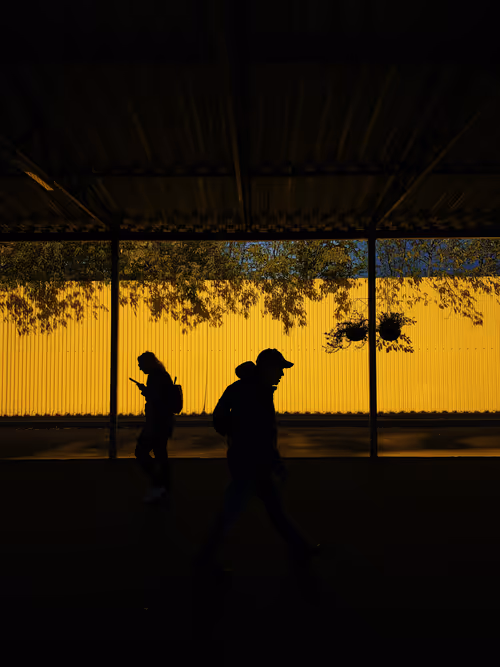 Item #17491933445981950493603605201939822143200868578689851698191638432311450533898 Media