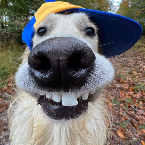 Untitled Collection #64580954