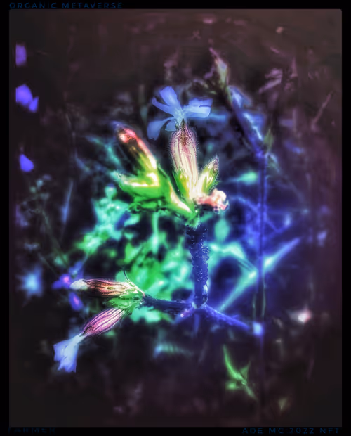 Item #3787080761074609709675817509753112159059746763483256848434353587483221950469 Media