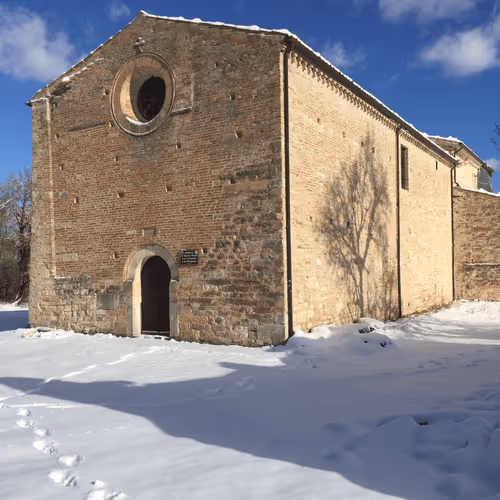 Preistorico Collection