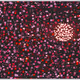 75095670497890257557362329544101162837399213364447091019291386964814694711297