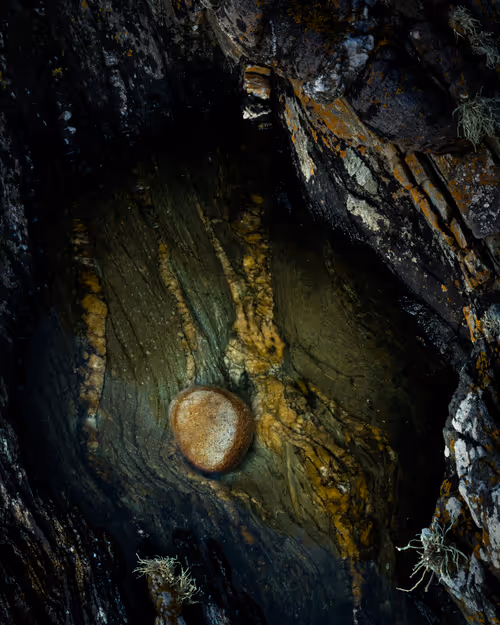 Item #92025450797269199699519638407999947828010124563072321716364901873761816412161 Media