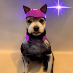 50214656762829440402362438476572498513879931727410398523828665777015989731329