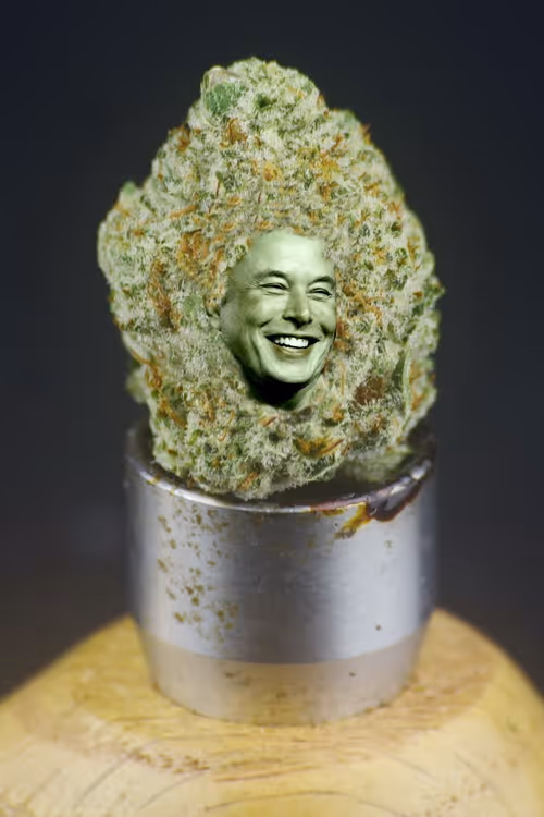 Item #31186953846776644916654461836537312819780745522330041199381679825004938657793 Media