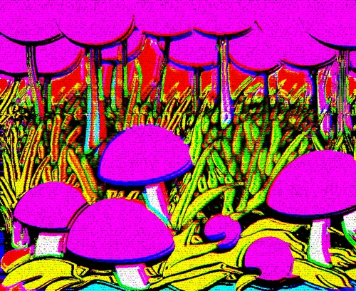 Item #8070548019585120716804159951760783140251908819191022015787993893282468855809 Media