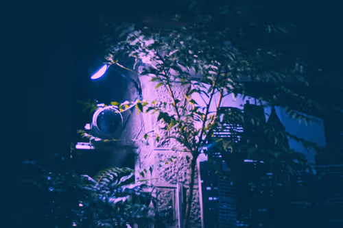 Item #14412009835050794292947791498993172250075375078613663930720343520338249777153 Media