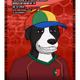 52657811155632835194104055651567622357672214788344769322042466100653397639169