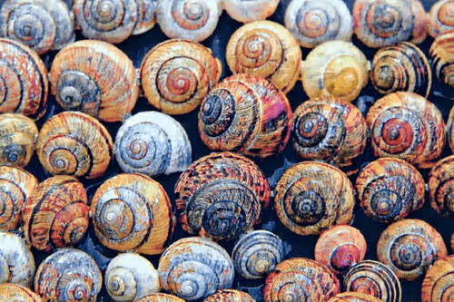 Item #109471203920939043635820920116395936685990389756447863820850984761024910983169 Media