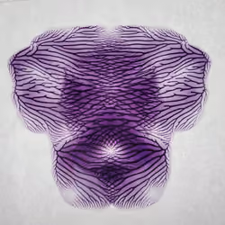 Imperfect Symmetry 