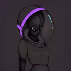 67595849087982904335245411311149856125821824399349637079790106121693047029761