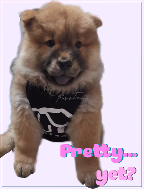 Item #103606411814514267144441239329390381368364317226309774540220525463561515827201 Media