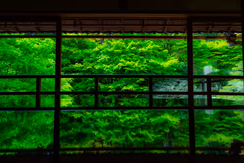 Item #67939412302890938501542439666874695594271992437598486221987910542496811188225 Media