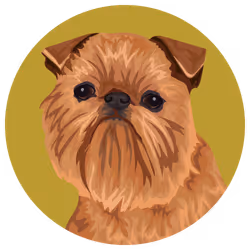 54766349128176429303044182404049584425310907481653304317570413868260169613313