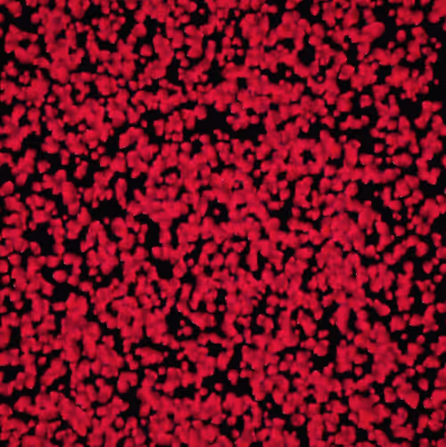 Item #10484220177787847593598212314025342284599195293512380793508438404822416228353 Media