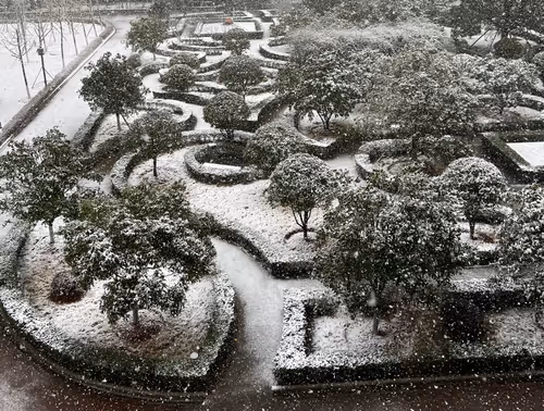 Item #67290256141323503144078543694054103215123614372462758868263132651069082959873 Media