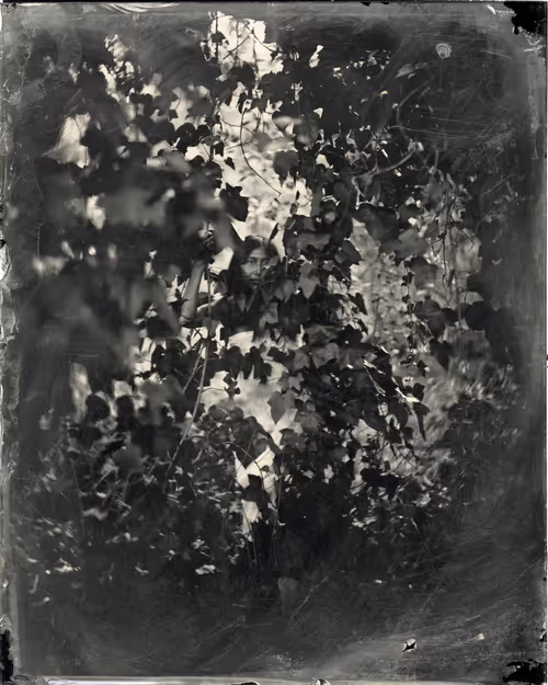 Item #95502041527997135146388521676905267930104448618173067888916315892956583166729 Media