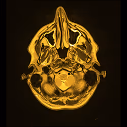 64162533542198579898252916190583583845604629893829087458582975650134994452481