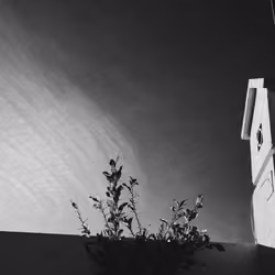 Sky without you.