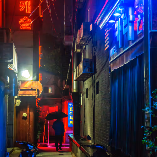 51038767389134457626930617169090287934471579480777975785156342570010313490433