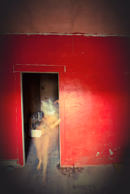 Item #96563138192293917757070198235194466088440109926107006004934391704692019167233 Media