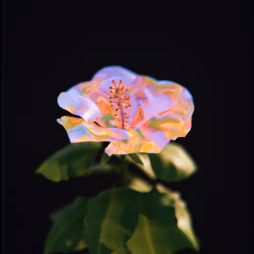 Cryptoflora Collection
