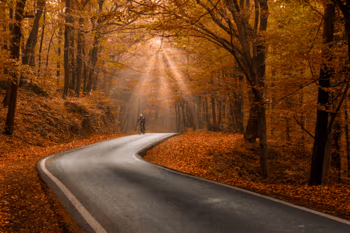 colorful world of ibranoglu