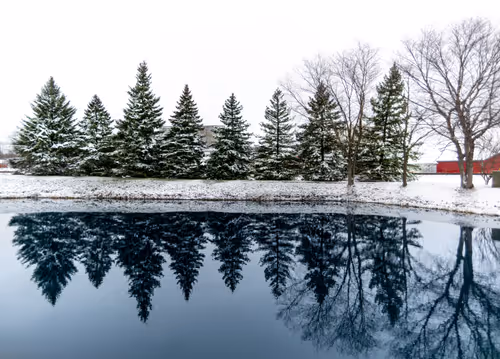 Item #112525609738612545857647791516614569906902118907369590729715034858247975600129 Media