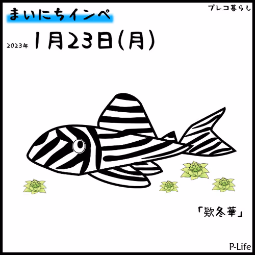 Item #81664083123670143983968740139941474364733981378414170565535210370144879509505 Media