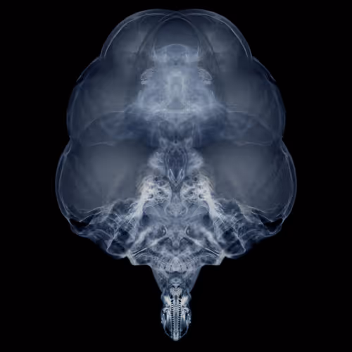 Alien Embryo - 450 of 2000