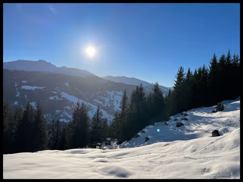 Item #82699081254817895475740029342954233425178018699766299170582766794399692095489 Media