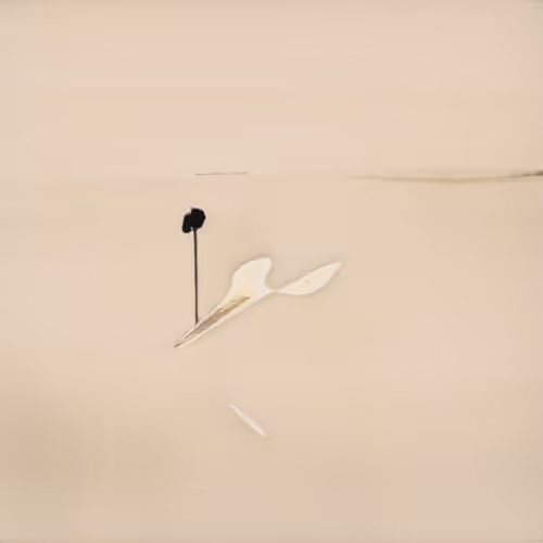 Item #83390268768486051812957265690435187419519448234542069378654283887655551762433 Media