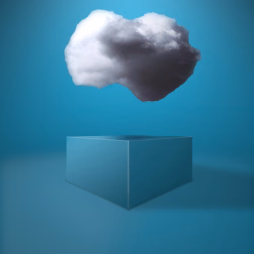 BitCloudz™ 010