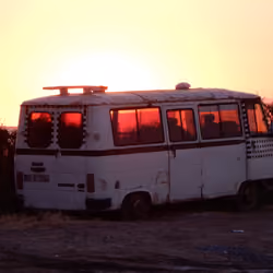 The Turkish Sunset And Sealife #8
