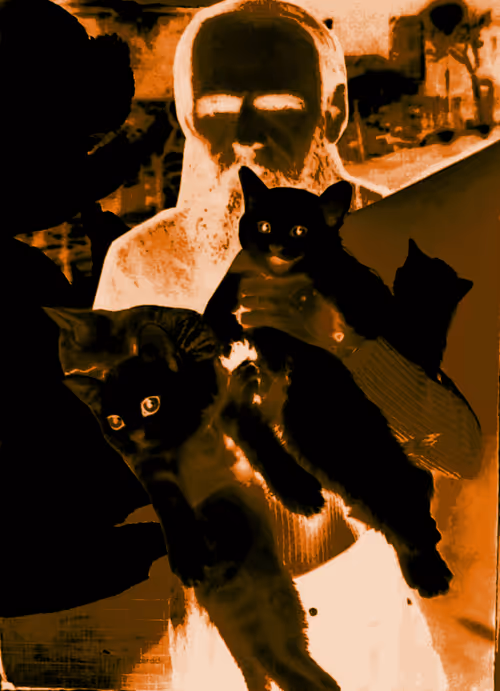 Item #4747115153065902387790593868107453782499677024781155622119190400719264940033 Media