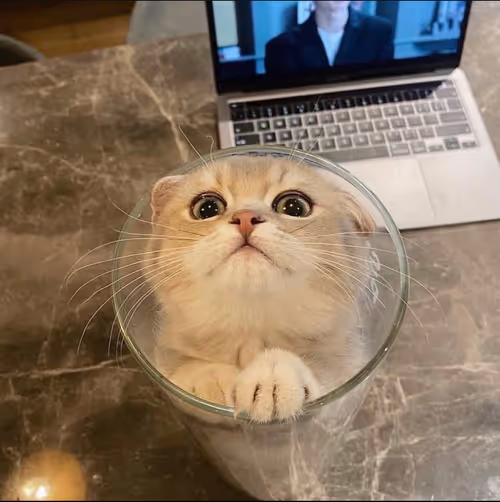 Item #506614017608188570824604822011872825915664813029036437365082823149200867329 Media