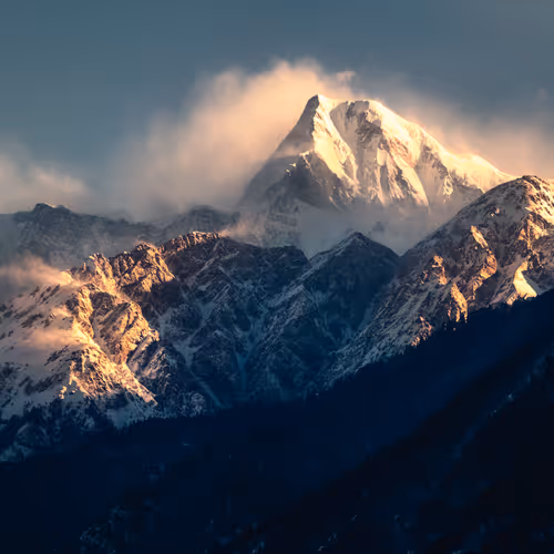 Himalayan Gold