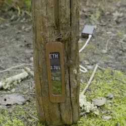 Item #83552655152951193283915867511939499765632126341219923400921726667980984549377 Media