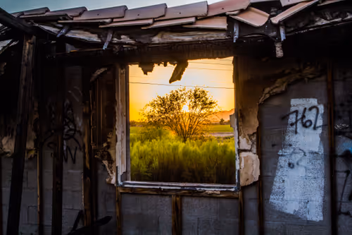 Item #42392629479489844342041238992722917738846266966173652433249185910942089609217 Media