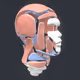 49969410147514262953276482567691854993410506261505787349856931396458509238273