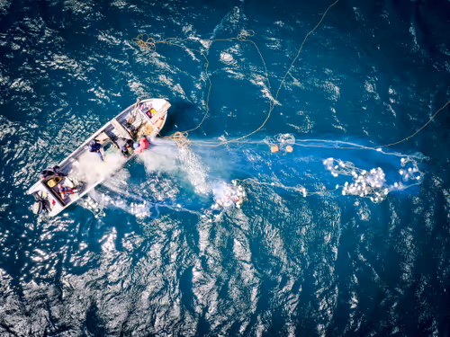 Item #80385899498883046092469810448976563322921356090656121236208626337248295518209 Media