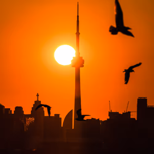 25828147237821198195018353565513715926828886605696715423323237809127742767105