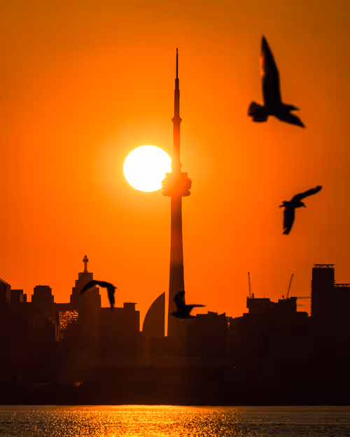 Item #25828147237821198195018353565513715926828886605696715423323237809127742767105 Media