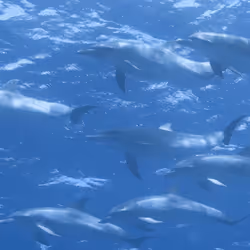 80965803268169370603932631570667161375508893671094224909166963891816946991105