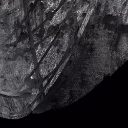 102102916121796597229990151930085578188091991930388543495708461086596197777409