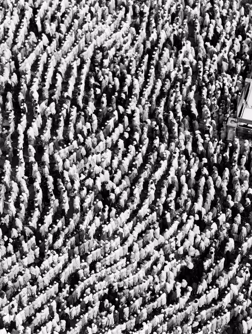 Item #104023740810564835841193669155962903667755292724793948450672365426397797154817 Media