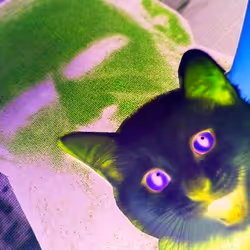 4747115153065902387790593868107453782499677024781155622119190014790683590657