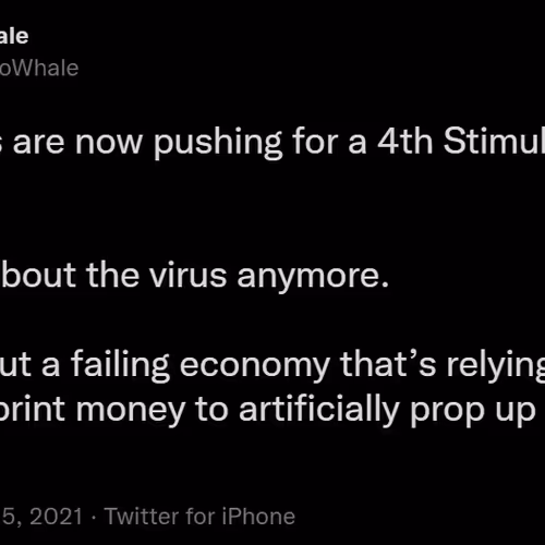 Some_Dude Collection