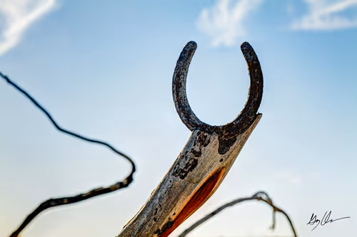 Item #47249959134198920907423674863097916784609466470325481649030705732728651776001 Media