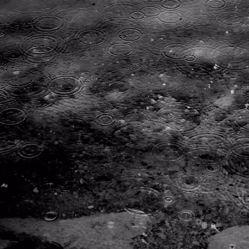 Item #110563264937173630415102547684714144673786021135482478862181301888912673734657 Media