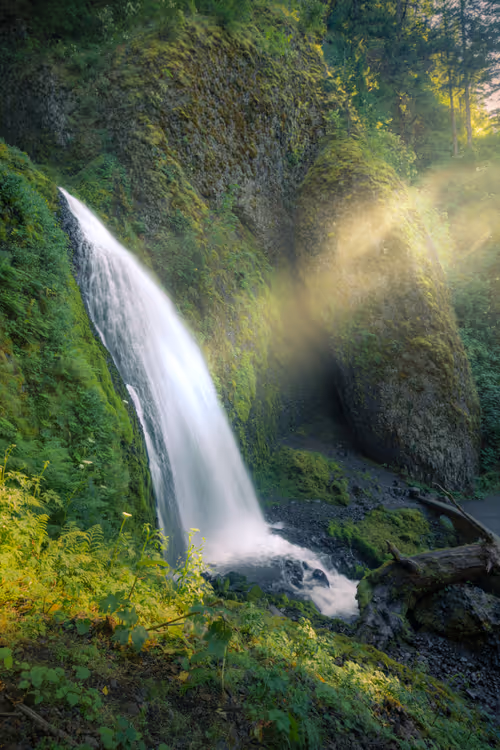 Item #11717075435639617062538583051799023982813876484308334407242089862392323244033 Media